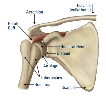 shoulder injury treatment